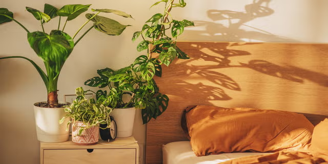 Bedside table vignette featuring a small potted plant, fresh flowers in a ceramic vase, and natural materials, showing how to incorporate nature into bedroom decor